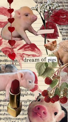 collage of pigs, lipstick, flowers and hearts with words dream of pigs written on them