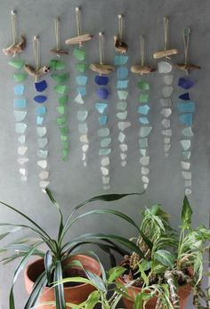 a group of sea glass hanging on a wall next to potted plants