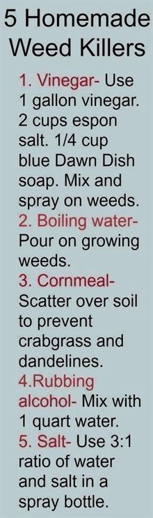 Kill Weeds Naturally, Killing Weeds, Garden Planters Diy, Planters Diy, Garden Problems, Kingston Ontario, Garden Weeds, Square Foot Gardening