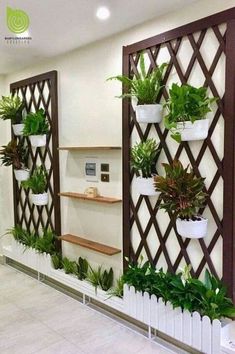 several potted plants are arranged on the wall