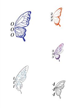 four different butterflies with numbers on them