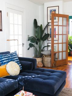 a living room filled with furniture and a large potted plant