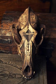 an animal's skull is sitting on top of a book