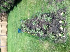 the garden is ready to be planted and put in the ground for some gardening work