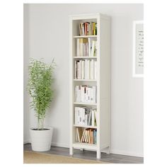 a white bookcase with many books and a potted plant on the floor next to it