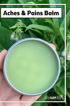 This herbal balm recipe offers relief from general aches and pains, arthritis, bursitis, and sore muscles. Muscle Rub Recipe, Salves And Balms, Herbal Salve Recipes, Healing Salve Recipe, Homemade Salve, Herbal Medicine Recipes, Balm Recipe, Diy Herbal Remedies, Herbal Remedies Recipes