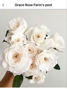 a bouquet of white roses in someone's hand