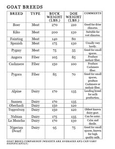 a table that shows the different types of breads and their ingredients for each type of dish