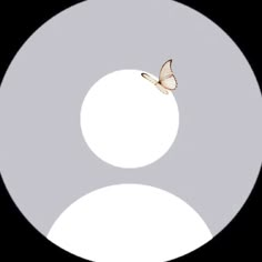 a butterfly flying in the middle of a circular object with white circles on it's sides