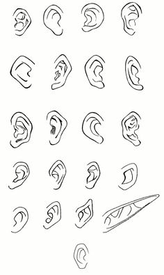 various ear shapes drawn in black and white