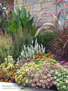 an assortment of flowers and plants in front of a building