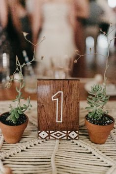 three small succulents are sitting in front of a wooden block with the number one on it