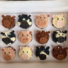 twelve cupcakes in the shape of animals are decorated with icing and frosting