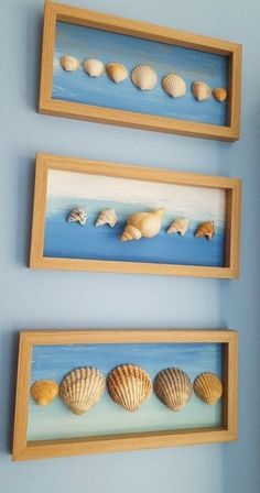 three framed pictures with seashells in them on the wall next to each other