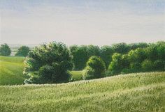 an oil painting of trees and grass on a sunny day