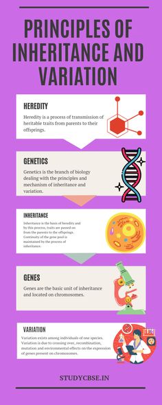 an info sheet describing the different types of substances and their uses in science, including hydrogens