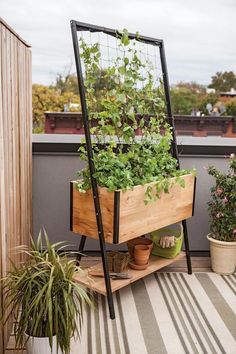 a wooden planter filled with green plants on top of a roof garden area next to potted plants