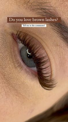 Short Brown Lash Extensions, Brown Lash Extensions Black Women, Brown Black Lash Extensions, Brown Lashes Black Women, Wispy Brown Eyelash Extensions, Classic Brown Lash Extensions, Light Brown Eyelash Extensions, Brown Lashes On Dark Skin, Brown Volume Lash Extensions