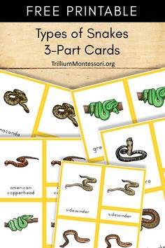 snakes and other animals are shown in this free printable card game for kids to play with