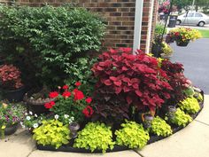 various plants and flowers in front of a brick building