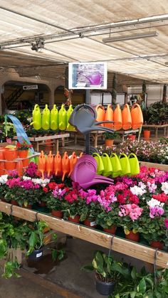 many pots and pans are on display in a garden center with flowers around them