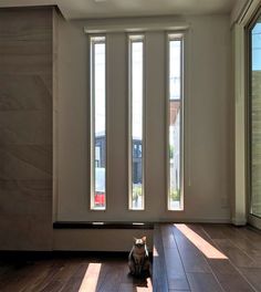 a cat sitting on the floor in front of three windows