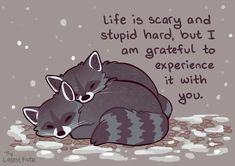 two raccoons cuddle together in the snow with an inspirational quote above them