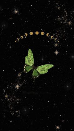 a green butterfly flying through the night sky with stars and moon on it's back