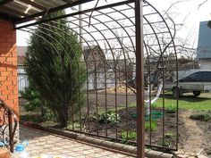 an outdoor area with a metal fence and potted plants