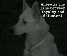 a white dog sitting in the grass with a caption that reads, where is the line between royalty and delusion?