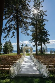 an outdoor ceremony setup with white flowers and greenery on the aisle, surrounded by tall pine trees