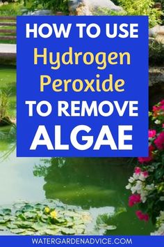 the words how to use hydrogen peroxide to remove algae on a blue background