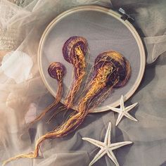 two starfishs and one sea urchin in a hoop on a table cloth