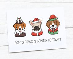 three dogs wearing christmas hats and sweaters with santa paws is coming to town card