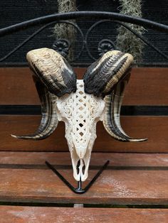 an animal's skull with horns is displayed on a bench