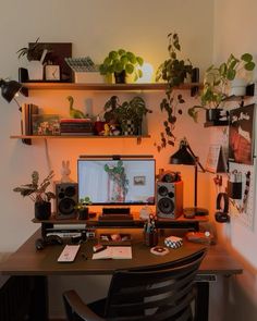 a desk with a computer, speakers and plants on the shelves above it is lit up