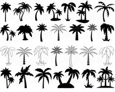 the silhouettes of palm trees and other tropical plants are shown in black on a white background