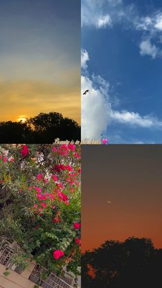 three different pictures with trees and clouds in the same photo, one has pink flowers