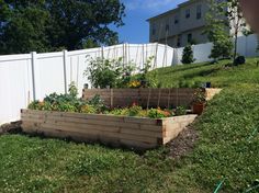 an outdoor garden area with raised wooden planters