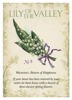 a greeting card with an image of lily of the valley on it's front