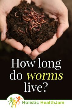 two hands holding soil with the words how long do worms live?