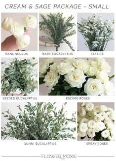 white flowers and greenery with the words cream sage package - small