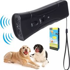 two dogs laying next to each other with an electronic device attached to the dog's ear