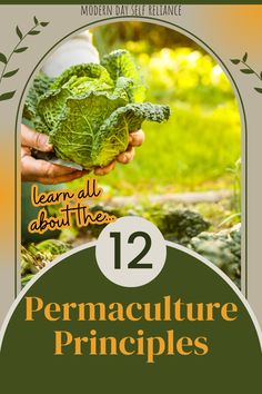 a person holding lettuce in their hands with the title learn all about the 12 permaculture principals