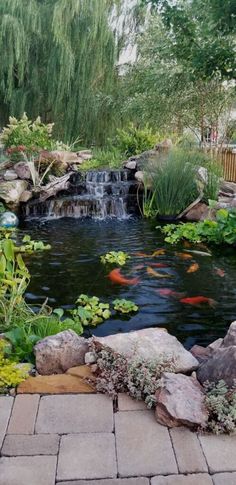 a small pond surrounded by rocks and plants