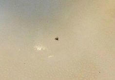 a bathroom sink with the water running down it's side and small black dots on the floor