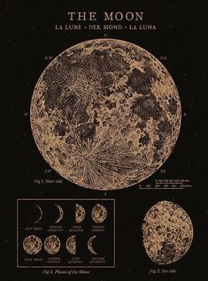 the moon is shown in black and white, with different types of phases on it