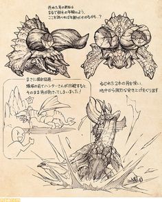 some type of plant with flowers and leaves in japanese characters'handwritten text on old paper