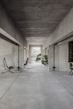 an empty room with two chairs and a potted plant