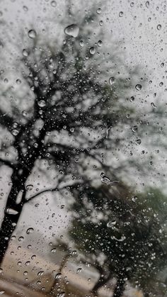 rain is falling on the window and trees outside